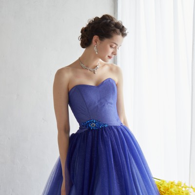 ブルーグラデーションチュールプリンセスラインドレス