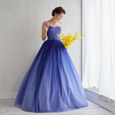 ブルーグラデーションチュールプリンセスラインドレス